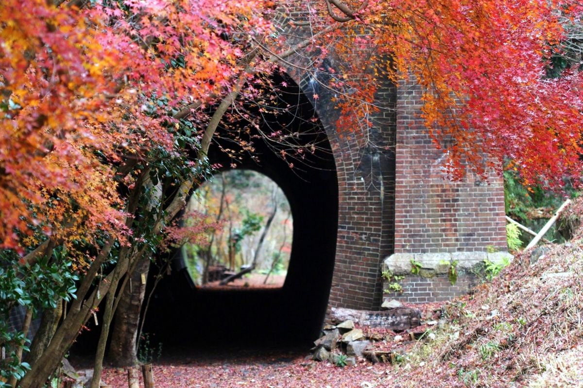 No.4 Tunnel