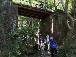 竹林橋の下を歩く