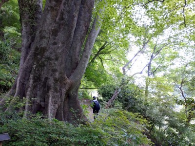 山おやじ