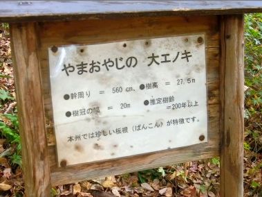 山おやじ説明看板