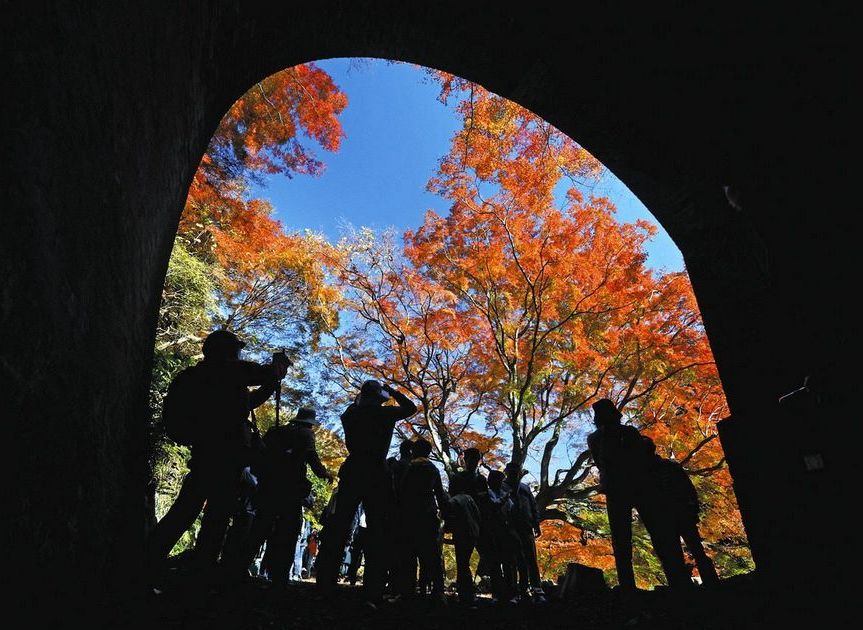 中日新聞記事20251129