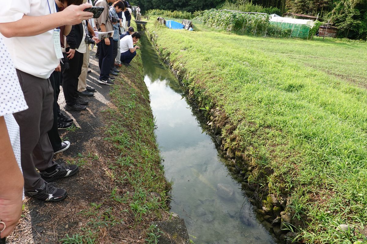 地下堰堤部分