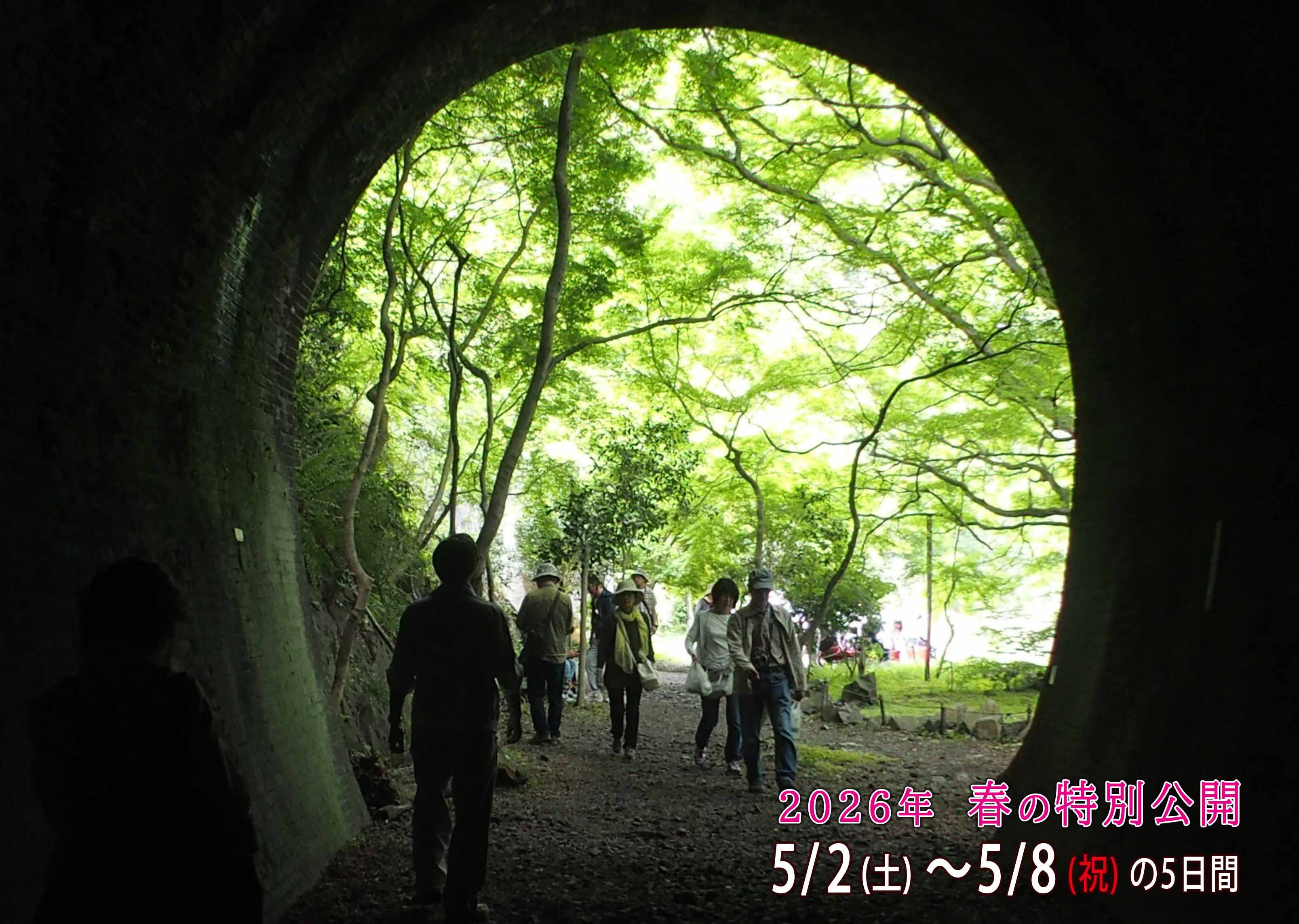 春の公開日程案内バナー